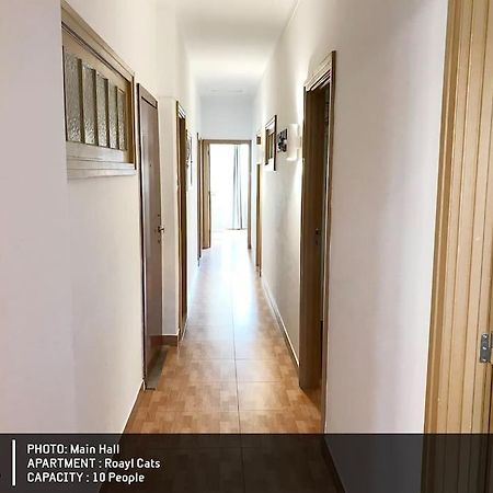 Royal Cats Apartment Porto Zewnętrze zdjęcie