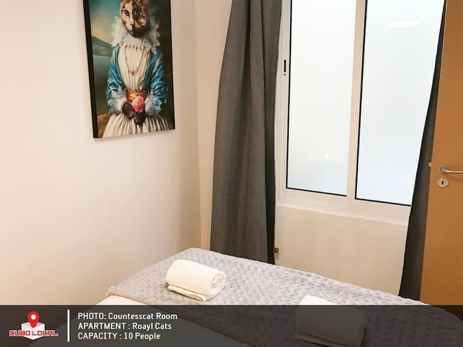 Royal Cats Apartment Porto Zewnętrze zdjęcie