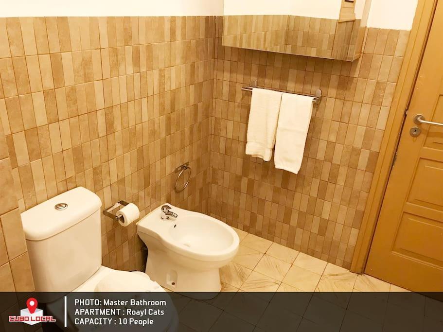 Royal Cats Apartment Porto Zewnętrze zdjęcie